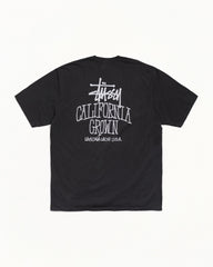 CALI GROWN TEE PIGMENT DYED
