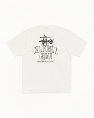 CALI GROWN TEE PIGMENT DYED